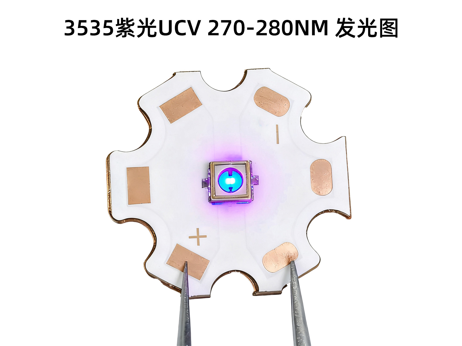 紫光4.jpg