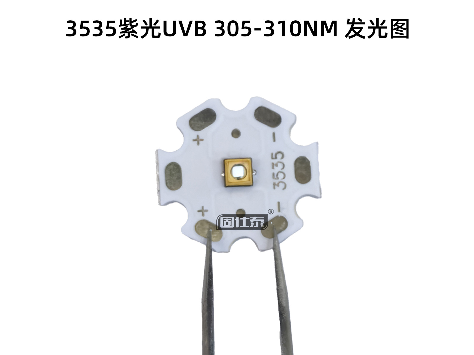 紫光5.jpg