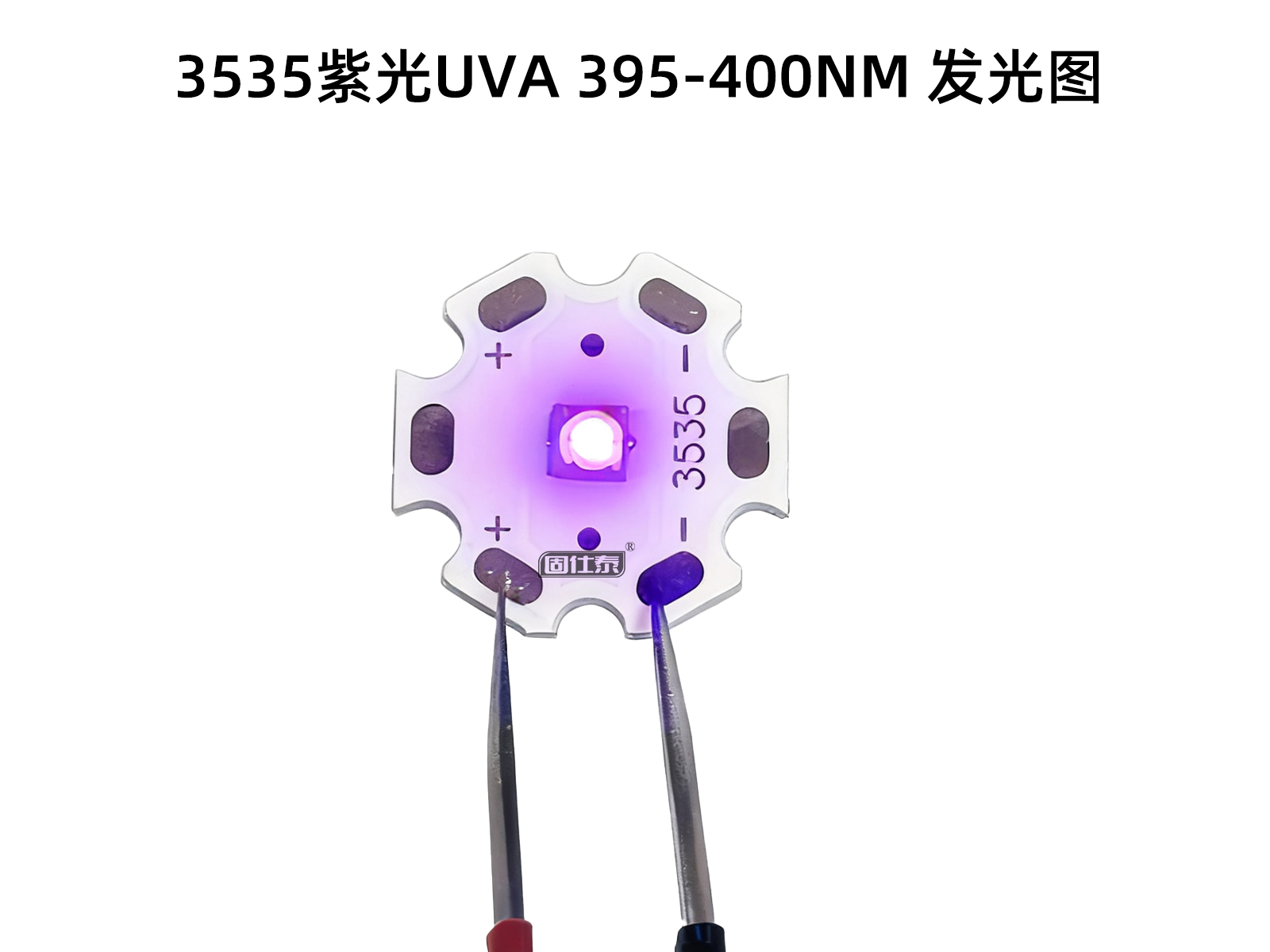 紫光6.jpg